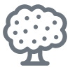 icons8-tree-100